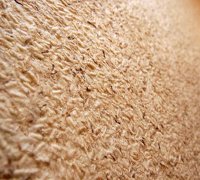 ��� ������ ���������� ������������� �������