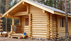 ������� ���� ������ ������